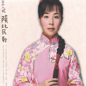 德国dsm打针女人奶上
